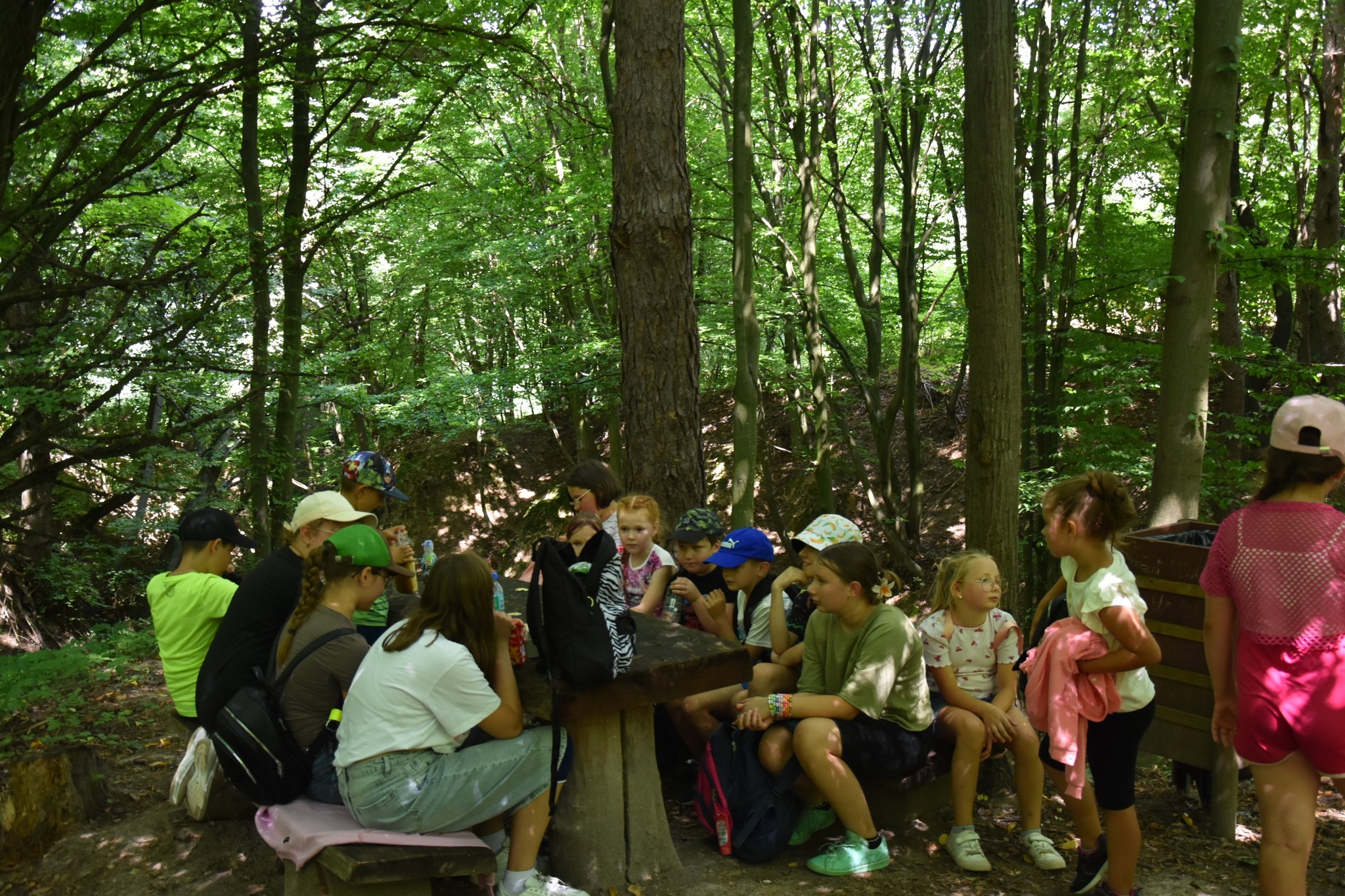 Zielono mi... EkoWakacje z Domem Kultury 2025